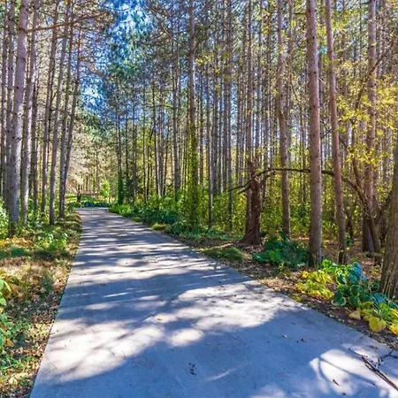 Forest Hideaway, Cleaning Included *