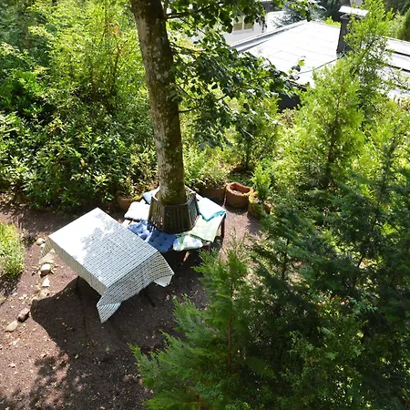 Forest Hideaway, Cleaning Included Strotzbüsch
